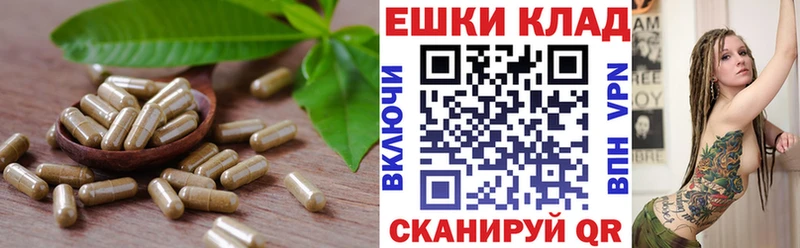 Экстази louis Vuitton  площадка какой сайт  Малмыж 