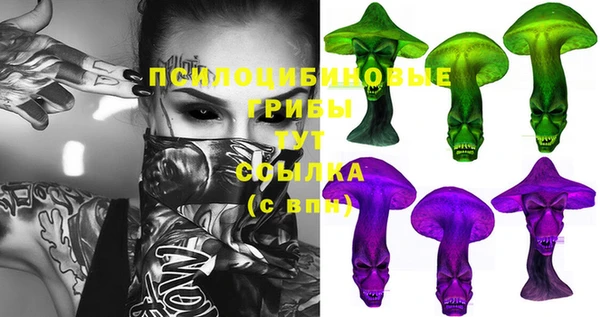 соль ск Аркадак