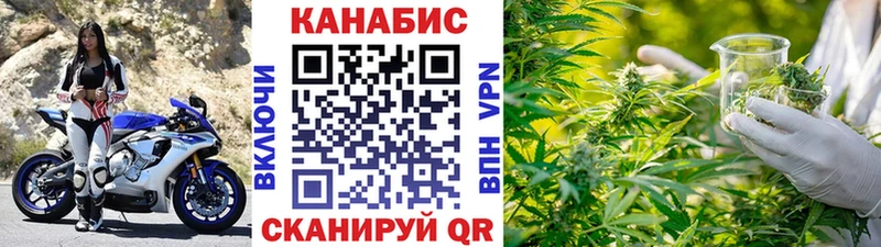 Конопля индика  hydra   Малмыж 